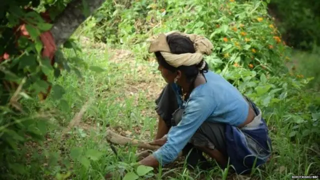 ਦੇਸ ਵਿੱਚ ਵਧਦਾ ਖ਼ੇਤੀ ਸੰਕਟ ਚਿੰਤਾ ਦਾ ਵਿਸ਼ਾ ਬਣਿਆ ਹੋਇਆ ਹੈ