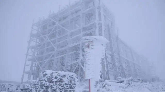 сніг