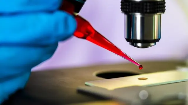 HIV व्हायरस