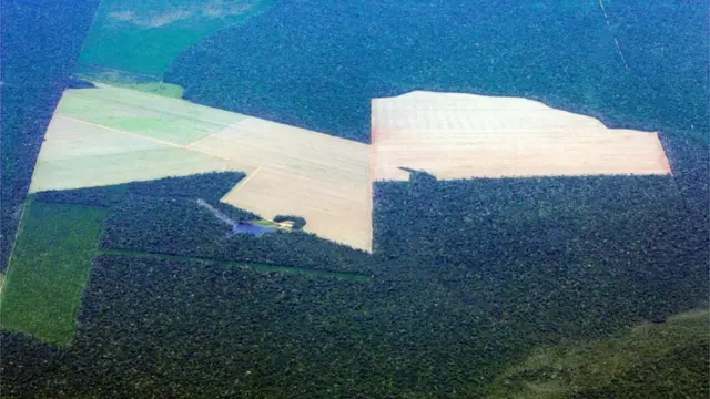 Áreaslot caça niquelplantioslot caça niquelsoja no Mato Grosso