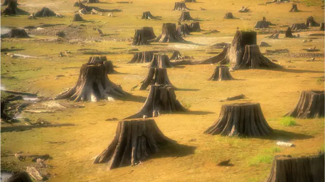 પર્યાવરણપ્રેમીઓ વૃક્ષચ્છેદનને કેમ ગણાવી રહ્યા છે 'વૃક્ષમારણ'