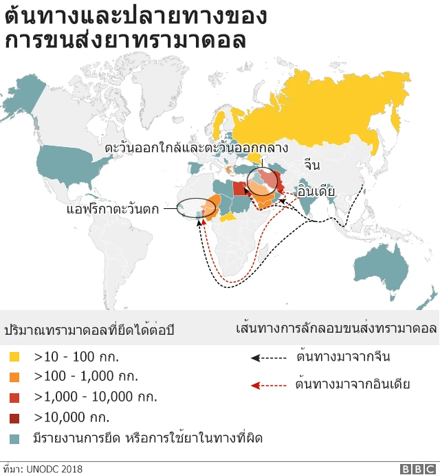 กราฟิกเส้นทางการขนส่งทรามาดอล