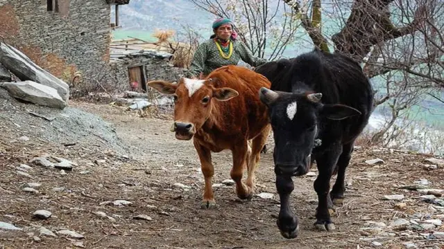 لماذا تُجبر النساء في نيبال على مغادرة بيوتهن أثناء الحيض؟