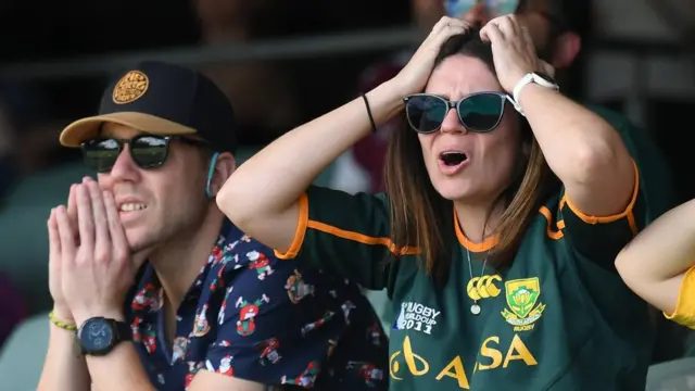 South Africa cricket supporters