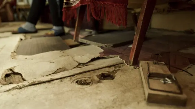 “Günümüz siçanlarla qovdu-qaçdı oynamaqla keçir”, Albina Məmmədova qeyd edir.