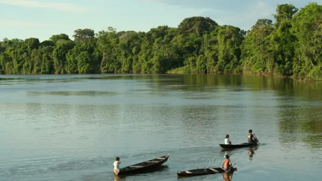 Crianças ribeirinhasjogo de aviao na bet365canoas no Rio Tefé, no Amazonas