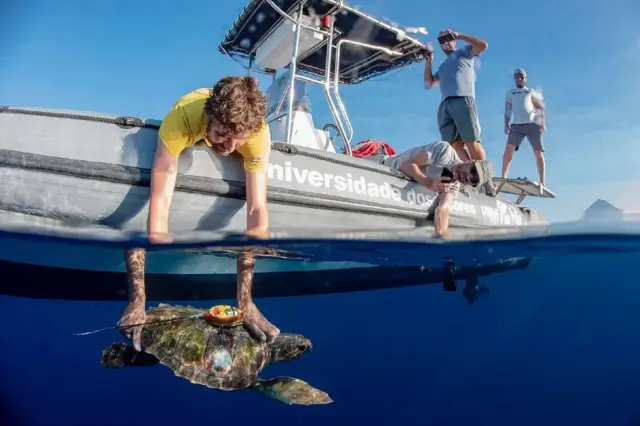 विश्व समुद्र दिवस