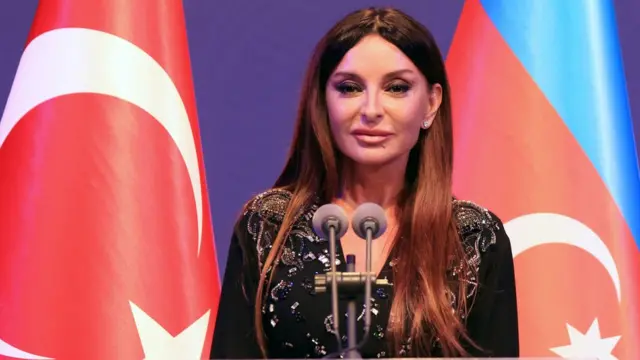 Mihriban Aliyeva, Türkiye'ye çok sık resmi ziyaret gerçekleştiren isimlerden.