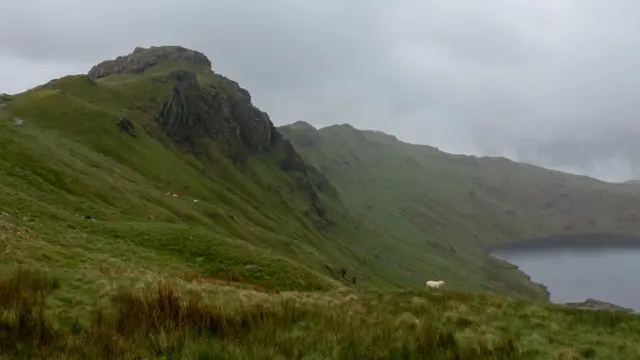 Овцы на фоне гор и озера