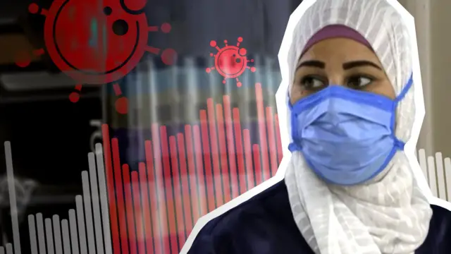 السلطات المصرية أعلنت أنها تعاقدت على شراء 250 ألف وحدة اختبار سريع ستُستخدم في المطارات على القادمين إلى مصر خاصة من الدول التي بها انتشار كثيف للفيروس.