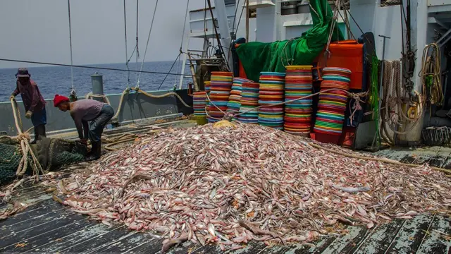 کشتی‌های صید ماهی چینی