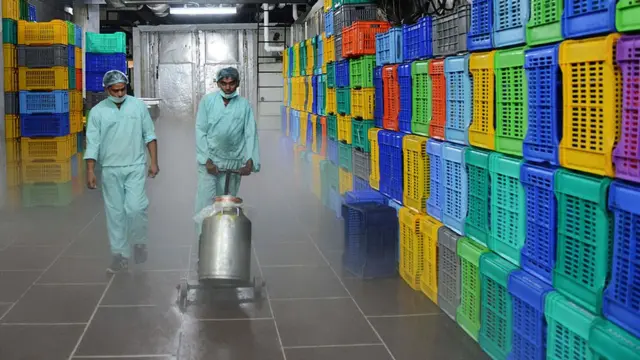 RCEP, व्यापार, भारत