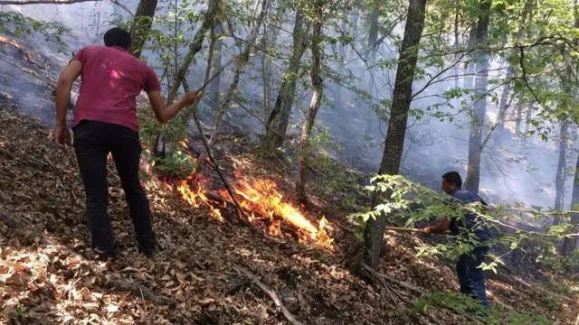 Ekologiya və Təbii Sərvətlər Nazirliyi