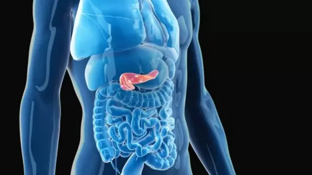 এই অগ্ন্যাশয়ে তৈরি হয় ইনসুলিন।