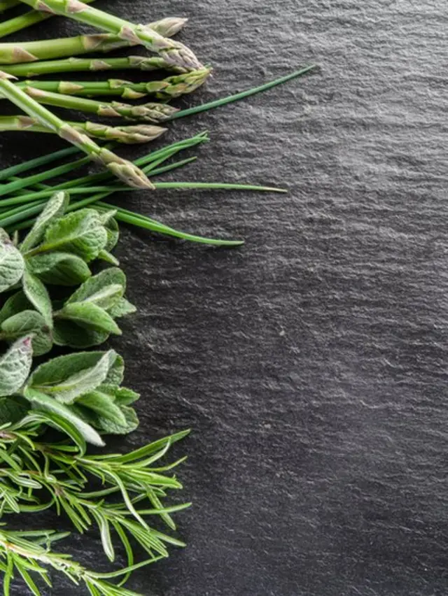 plantas sobre una tabla gris