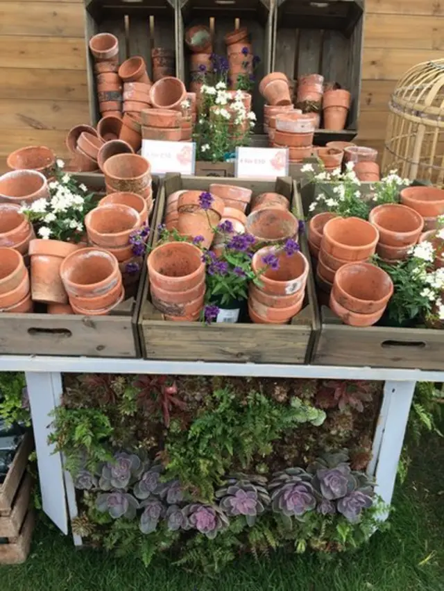 Triển lãm hoa Hampton Court