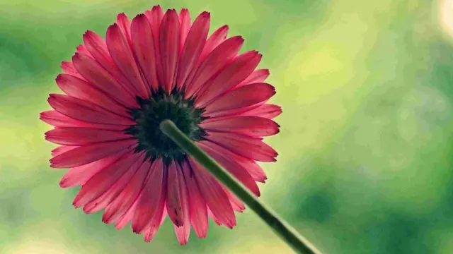 ராஜசேகரன்