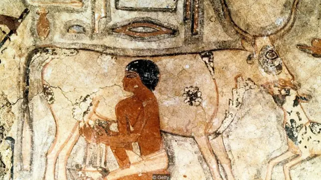 दूध का इतिहास