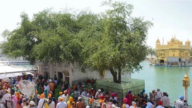 ਦੁਖਭੰਜਨੀ ਬੇਰੀ