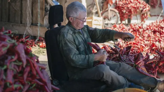 U ovo doba godine, svi se late posla oko paprika.