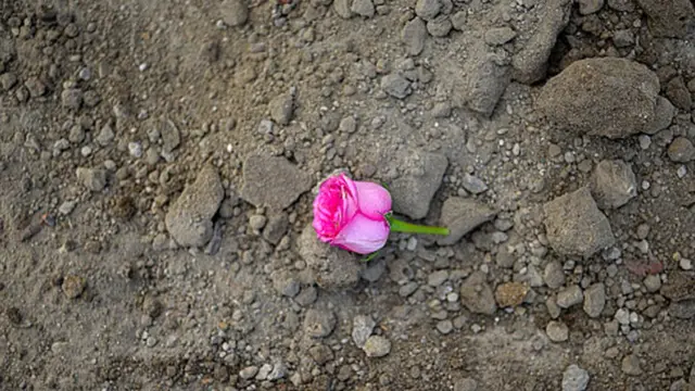 ආයෙත් වතාවක් ගමට ගිහින් මට ගෙදරින් ගුටිකන්න බැහැ