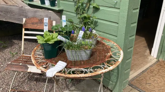 Một góc vườn Secret Garden Distillery ở Edinburgh nơi khách có thể thưởng thức và xem quá trình nấu rượu gin làm từ thảo mộc trong vườn