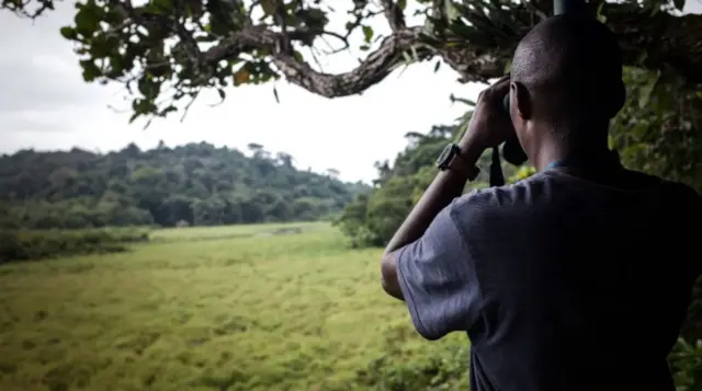 Unovčavanje „usluga ekosistema" koje pružaju slonovi moglo bi da podstakne očuvanje, ali kritičari postavljaju pitanje da li će to koristiti lokalnim zajednicama