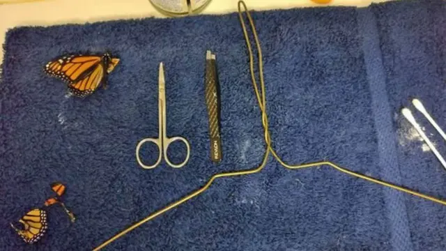 ਤਿਤਲੀਆਂ ਦੇ ਅਪ੍ਰੇਸ਼ਨ ਵਾਲਾ ਤੋਲੀਆਂ ਤੇ ਸਾਜ਼ੋ-ਸਾਮਾਨ