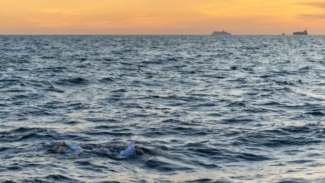 Sarah Thomas mid swim