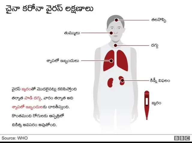 కరోనావైరస్