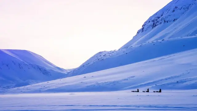 （圖片來源：巴斯•萬•奧爾特）