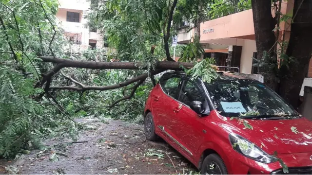पुण्यात वाऱ्यामुळे झाडं कोसळण्याच्या घटना अनेक ठिकाणी घडल्या.