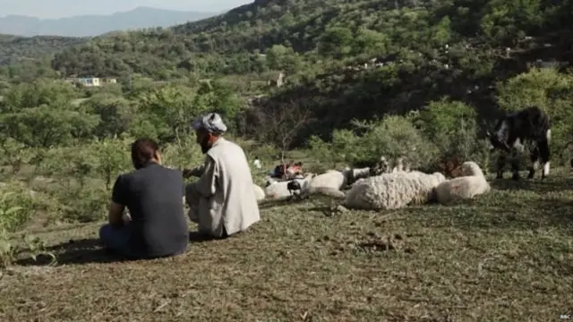 بچی کے والد