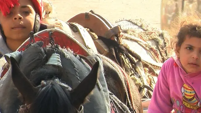 طفلان يستقلان عربة يجرها حصان فى الريف المصري