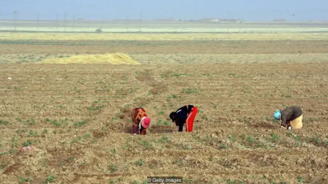 Kekeringan dan perubahan iklim akan mendorong diplomasi soal air menjadi masalah pelik di abad 21.