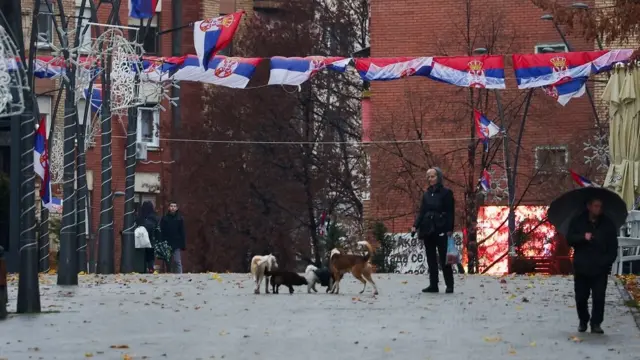 Северная Митровица