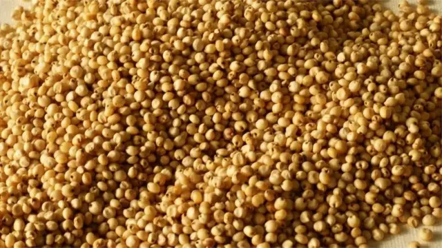 ભોજનમાંથી ભાત અને રોટલી બંધ