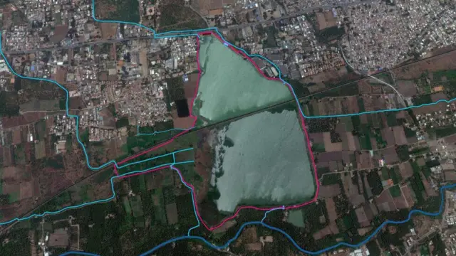 பூச்சியினம்