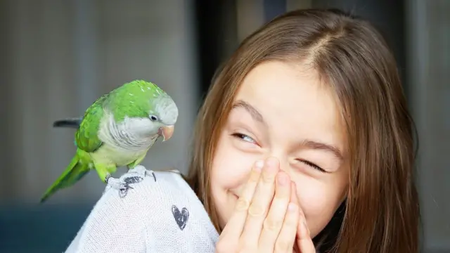 Niña jugando con una cotorra.