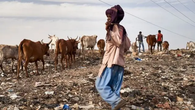 Ndị Fulani na-achị ehi