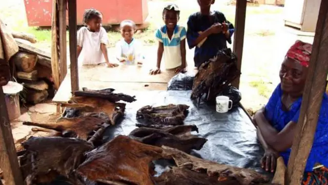 Woman wey dey sell bush meat in Nigeria