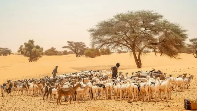 Ibihe by'ubucuruzi bwambukiranya Sahara byazanye amoko menshi y'abantu muri Mauritania