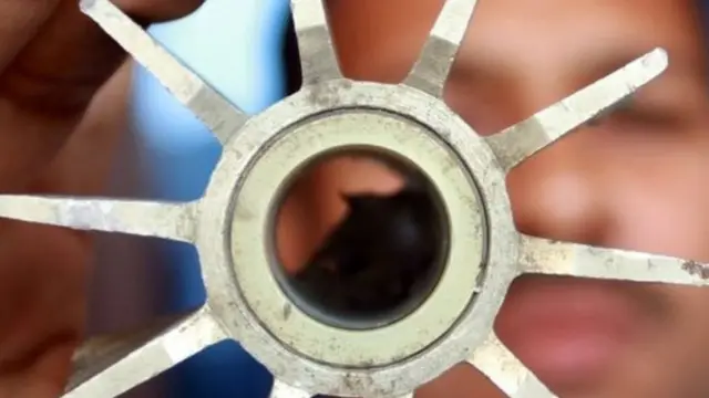 कश्मीर में छर्रे को देखता एक युवक