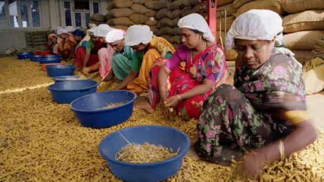 పసుపు ప్రాసెసింగ్ చేస్తున్న మహిళలు