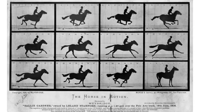 Животиње су на филму присутне још од 1878. и Коња у покрету Едварда Мајбриџа