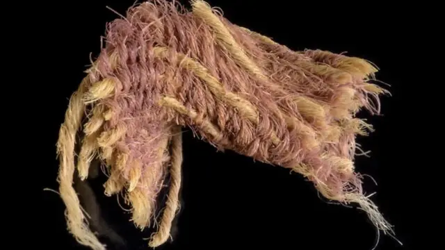 Цілком можливо, що з такої тканини шили одяг для самого царя Соломона