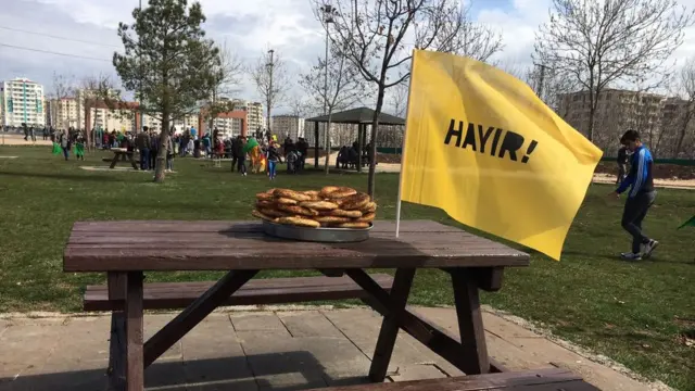 Alanda Hayır flaması