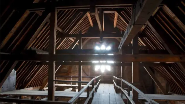 El bosque es un área de Notre Dame a la cual no tenían acceso los visitantes.