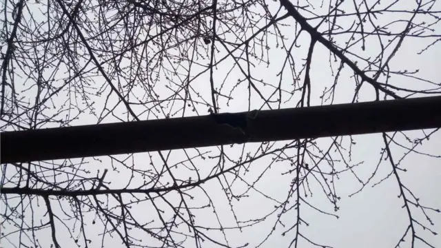 обстріл у Врубівці