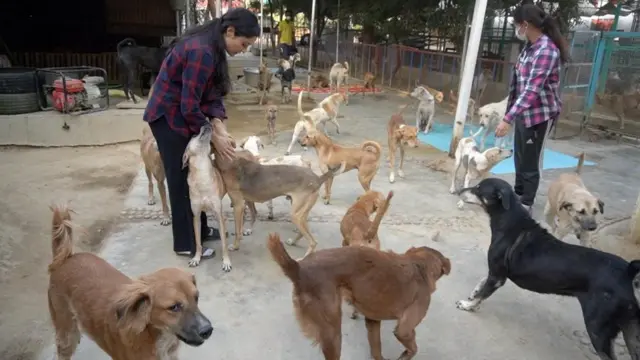 عائشہ چندریگر